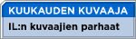 Kuukauden kuvaaja
